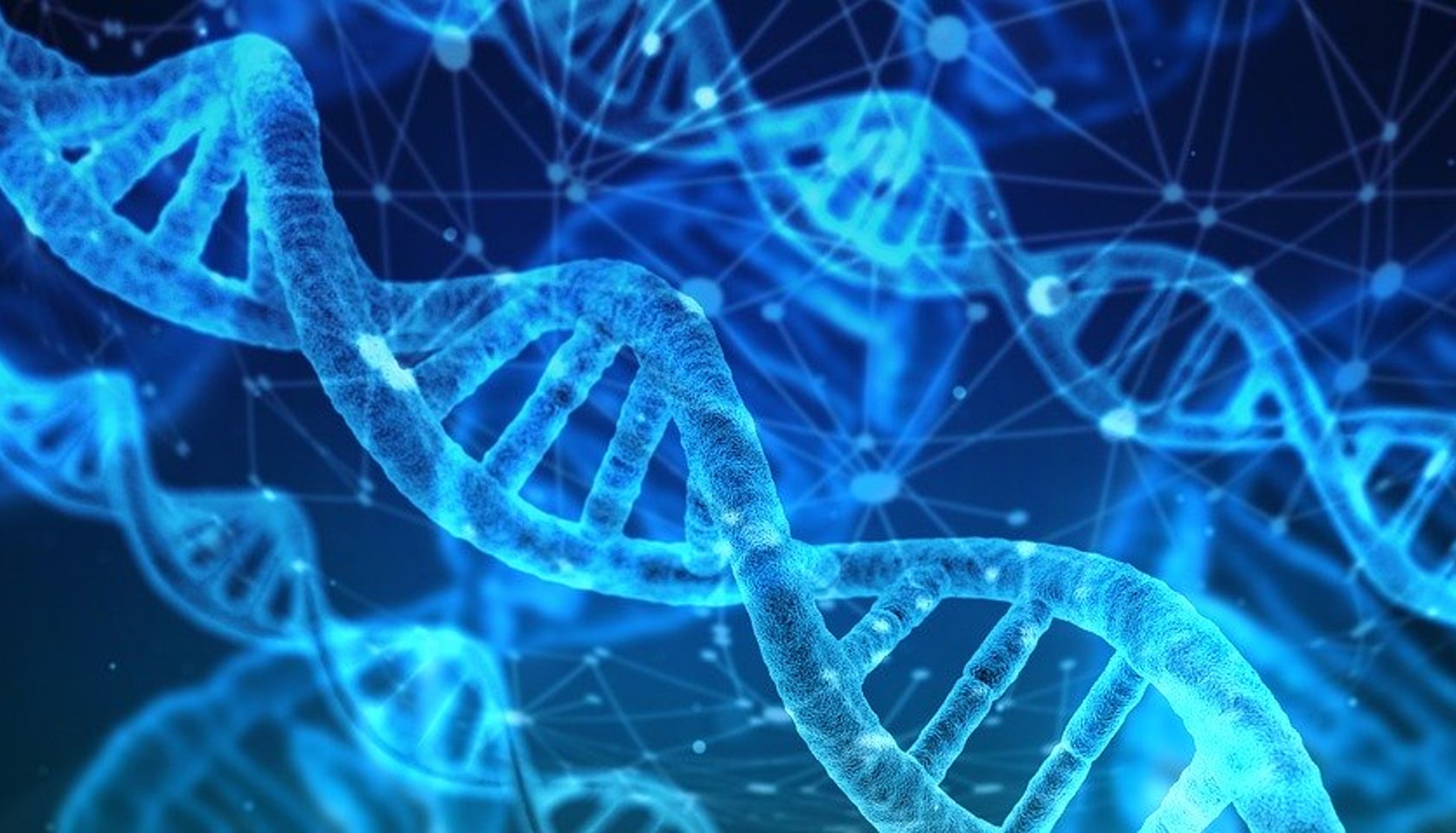 Curso Virtual de Genética en Cáncer Ginecológico - De la teoría a la práctica